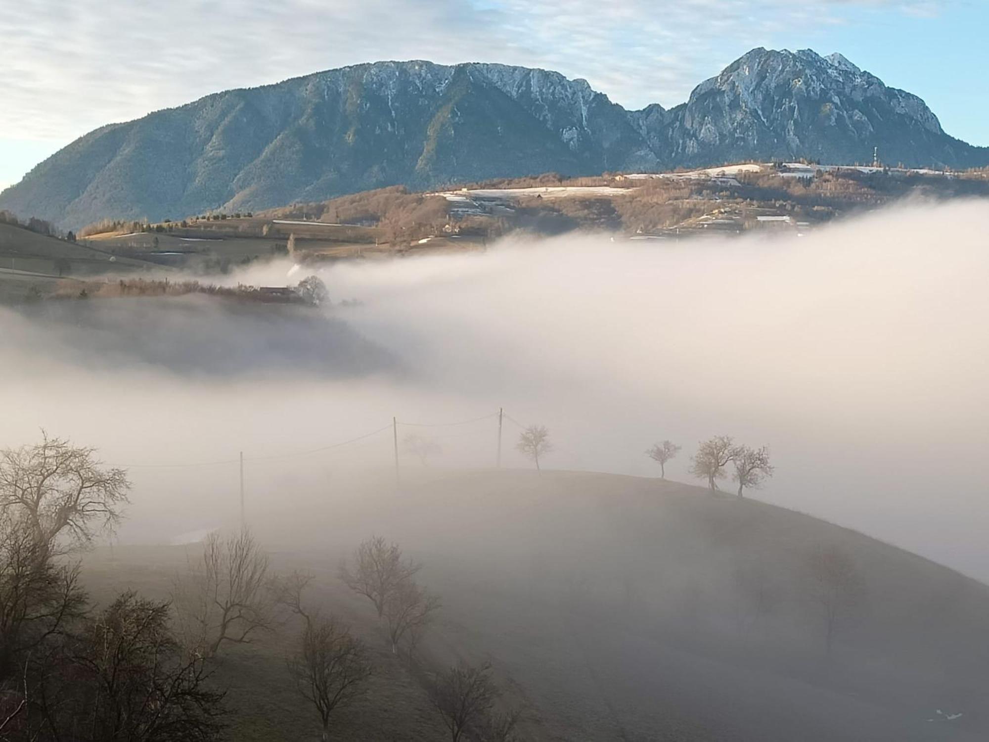 Casa Din Livada, Poiana Marului, Brasov 빌라 외부 사진